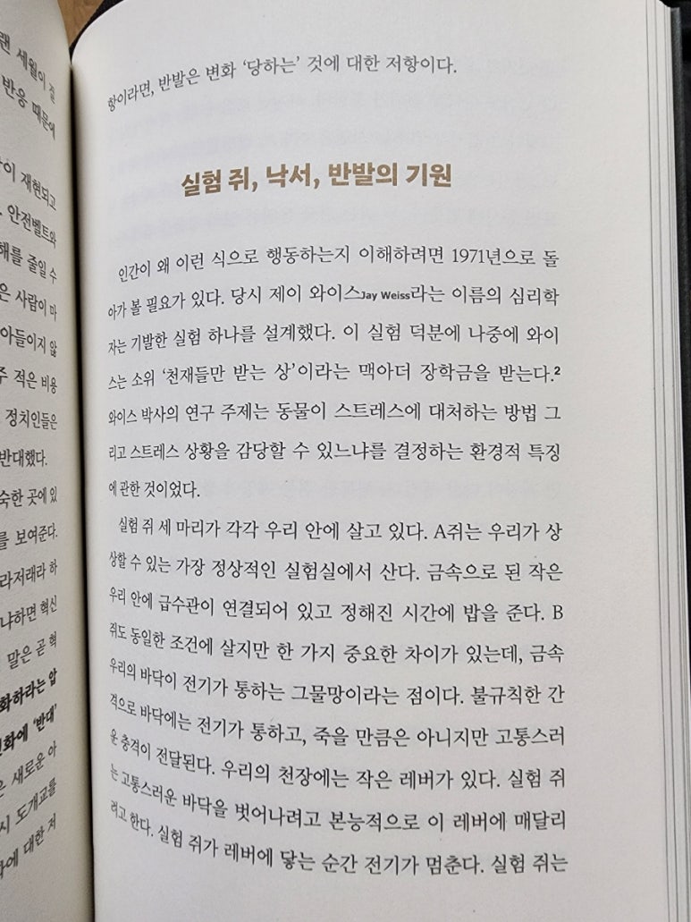제이와이스 이미지