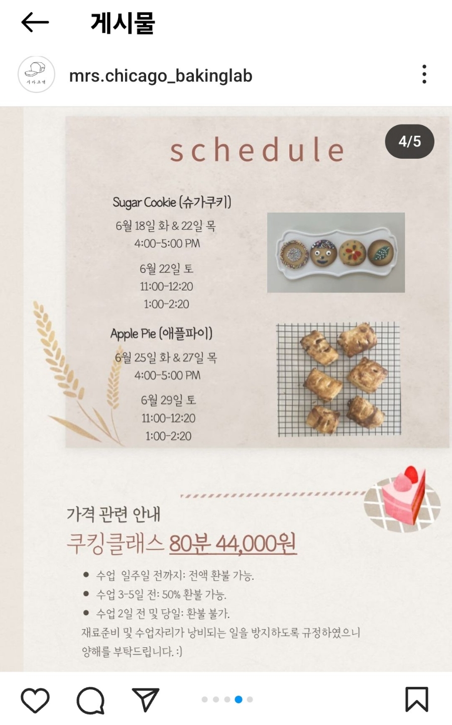 시카고댁 이미지