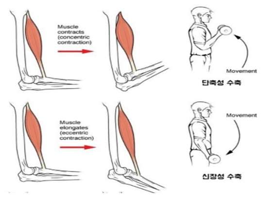 다짐휘트니스 이미지