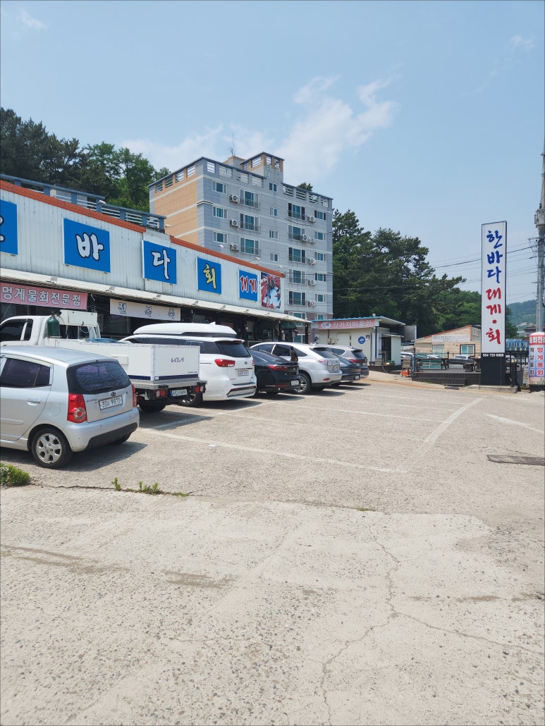 영덕물회 이미지