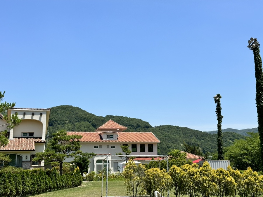 파스쿠찌 상왕점 이미지