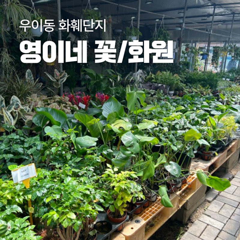 강북화원 이미지