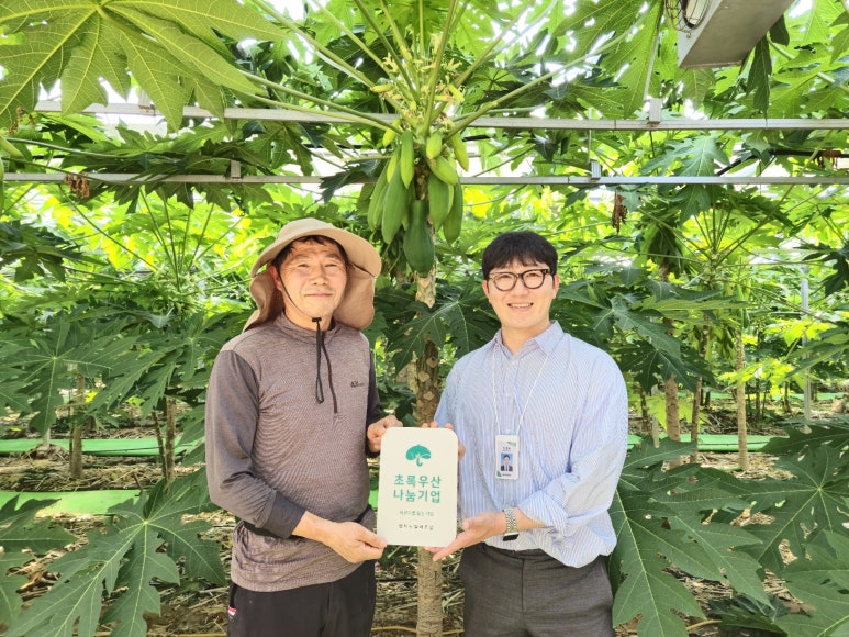 임마뉴엘서비스 이미지