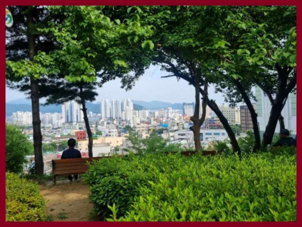 매화한의원 이미지