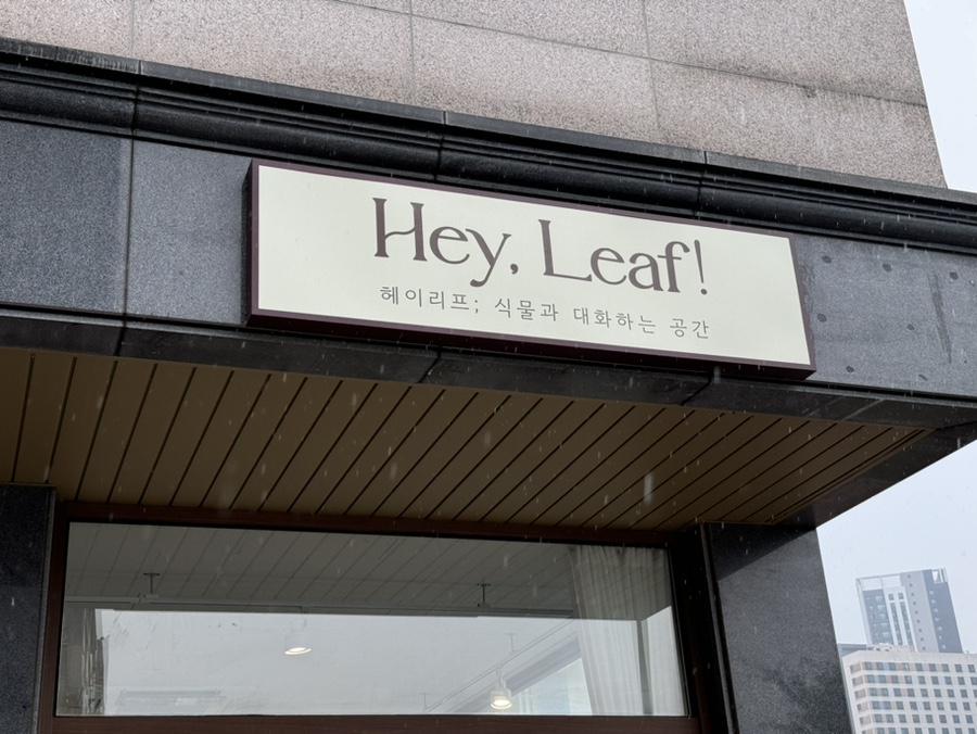 헤이리프 이미지