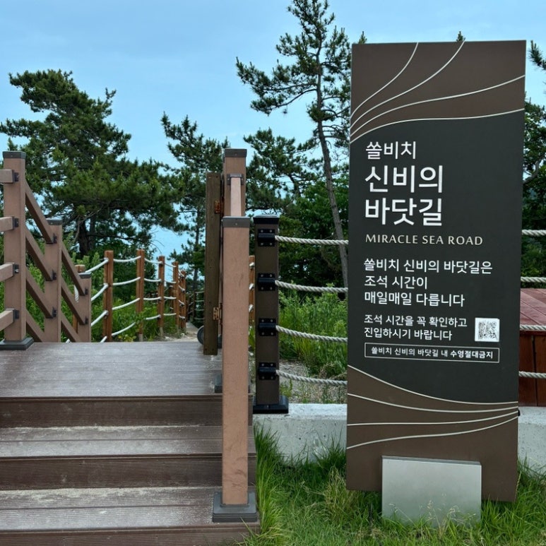 진도포차 이미지