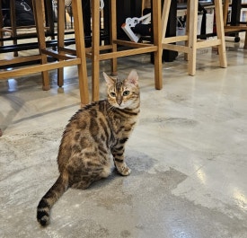 놀숲충주 이미지