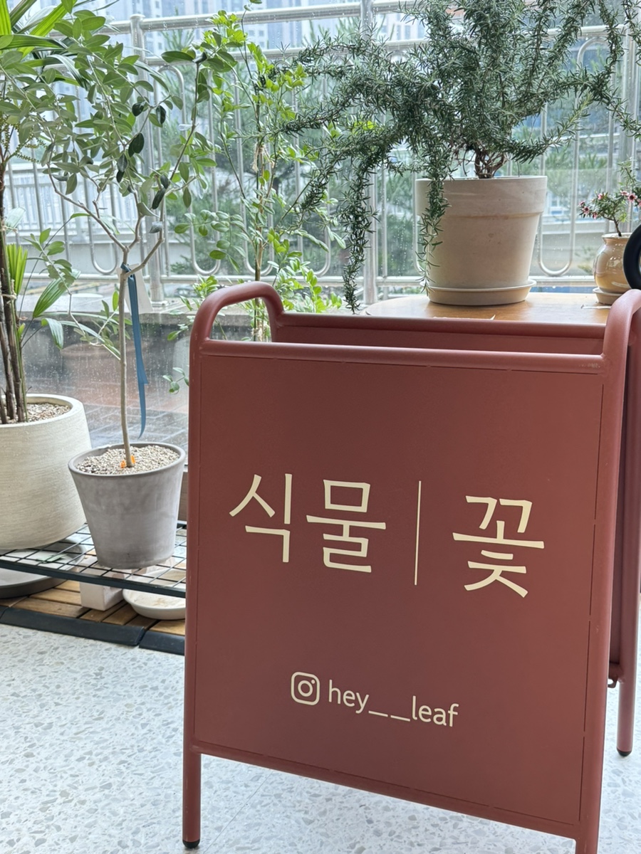 헤이리프 이미지