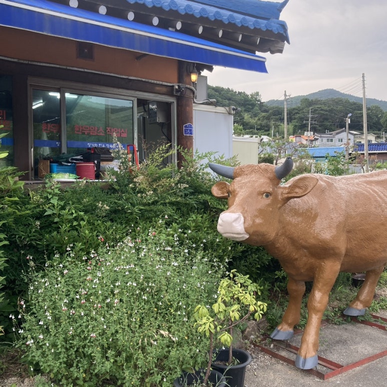 청기와식육 이미지