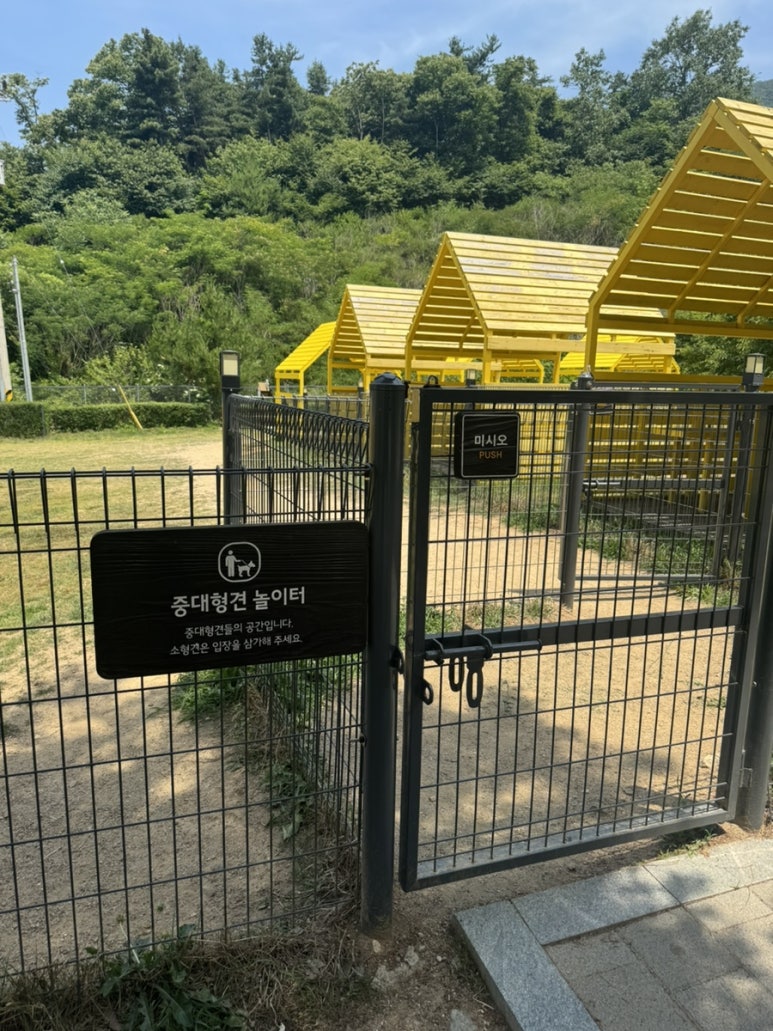 컴페니언바이주문진 이미지