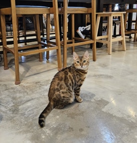놀숲충주 이미지