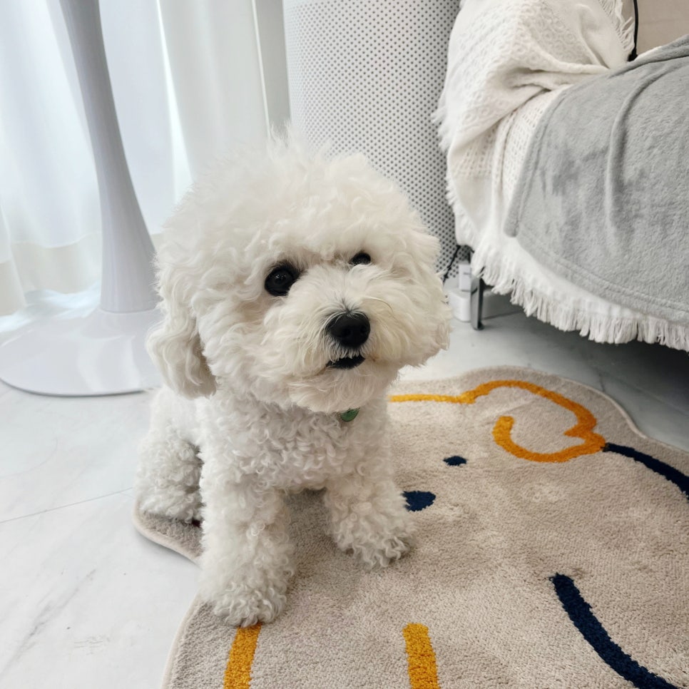 네일숑 이미지
