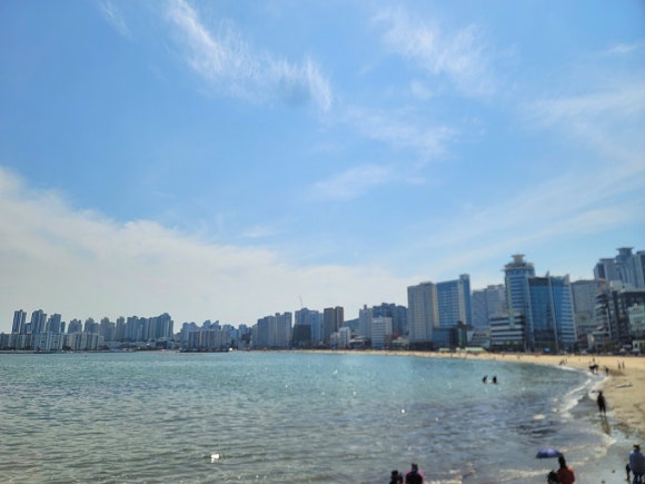 하늘바다상회 이미지