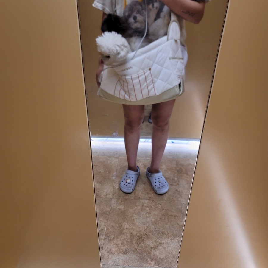 부천 해든동물메디컬센터 24시 응급실 강아지 진료 후기 — 사진 3