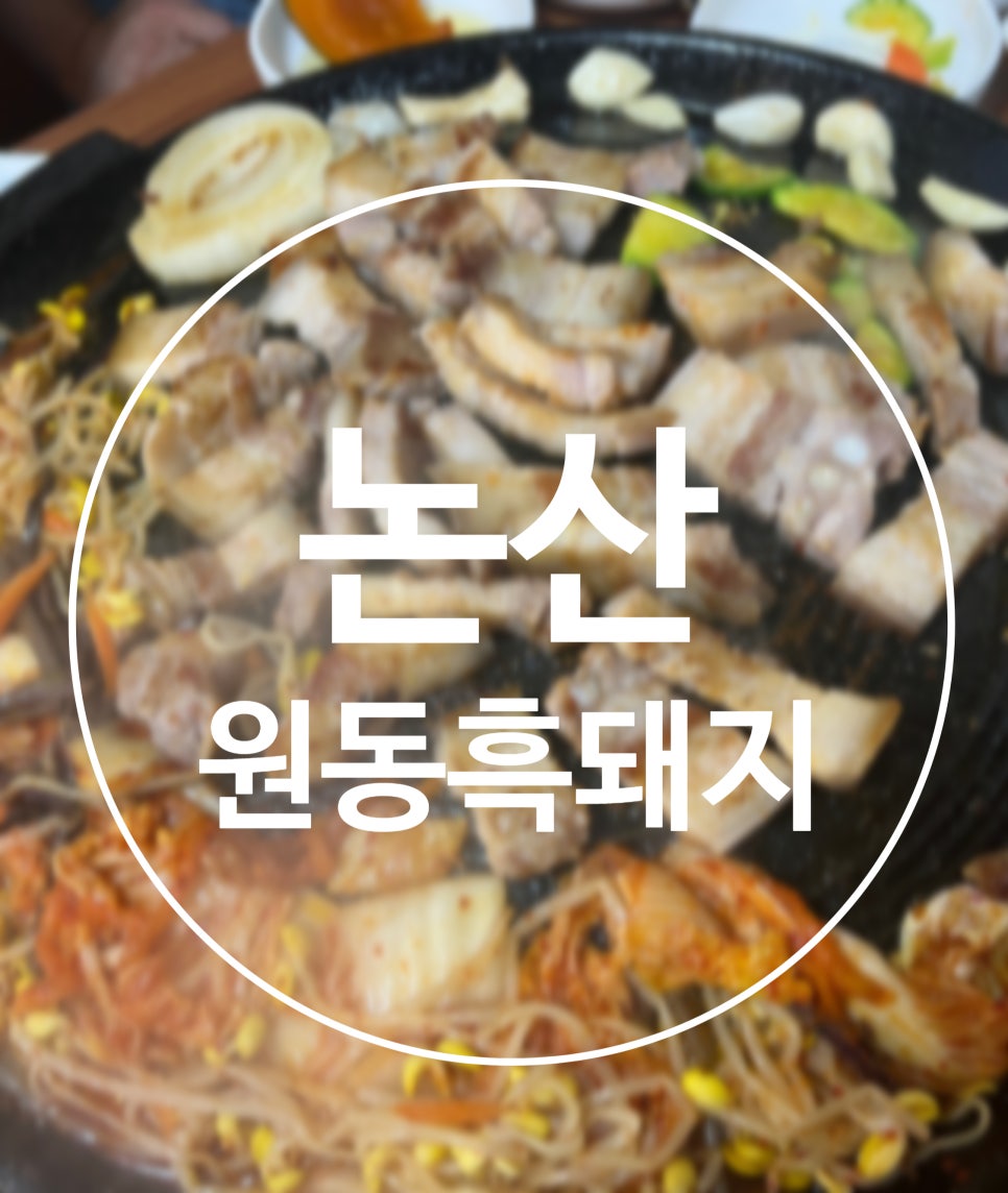 원동흑돼지 이미지