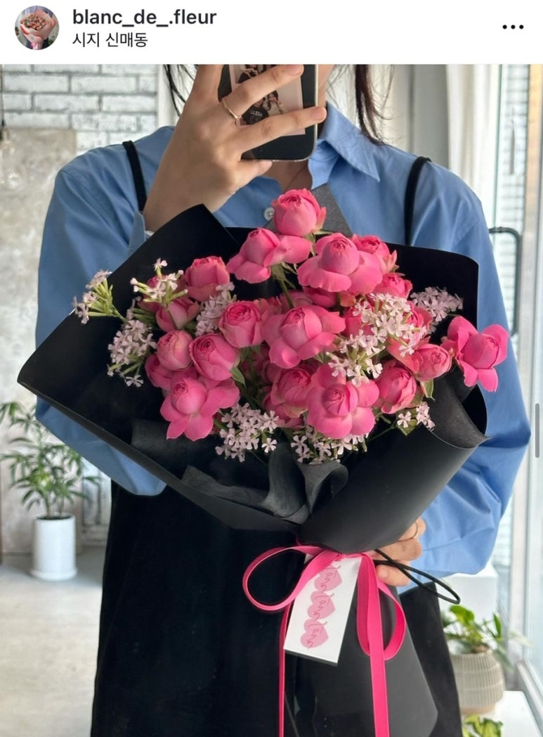 블랑드플레르 이미지