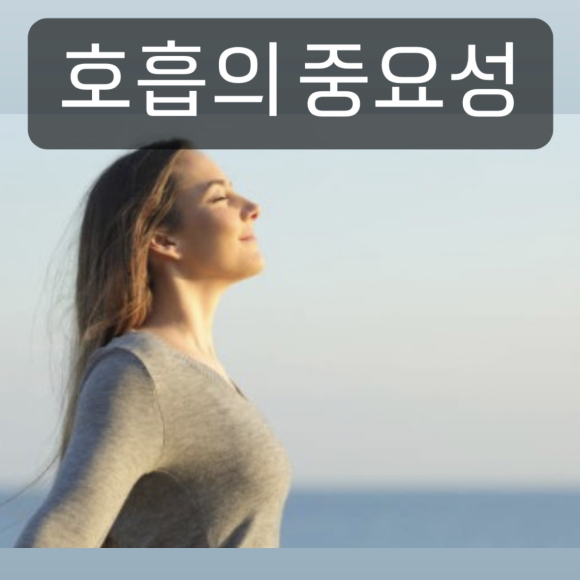 제이슨짐 이미지