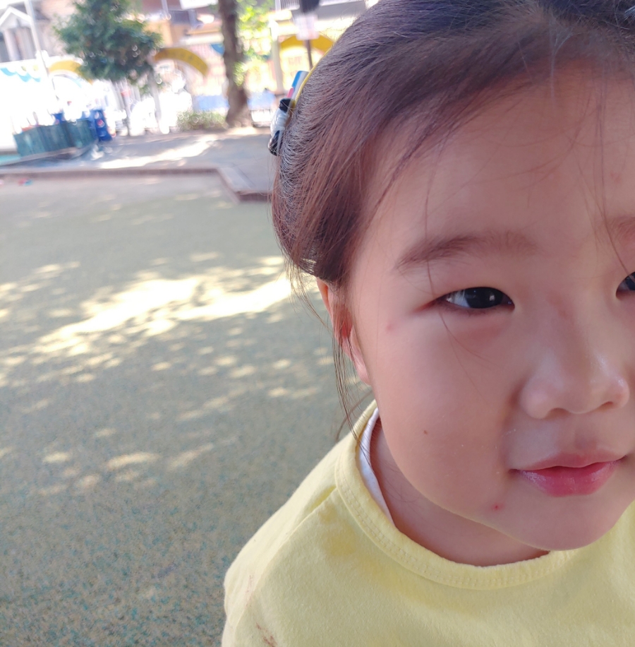 홀릭영 이미지