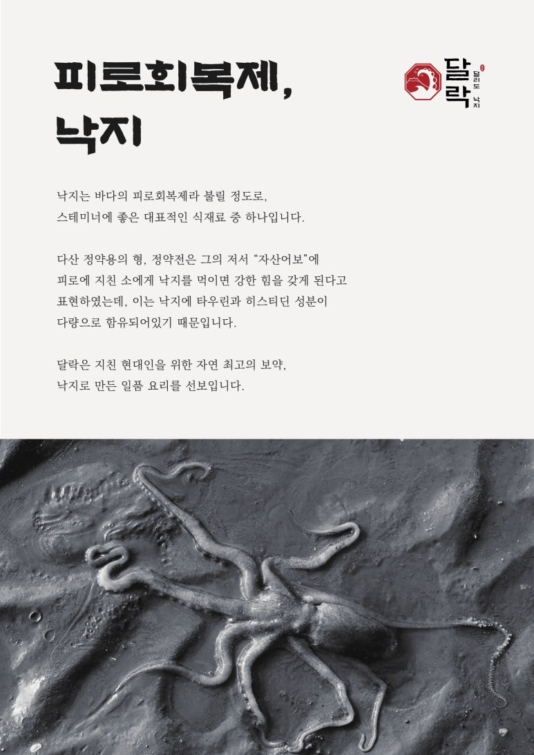 달락달리도낙지 이미지