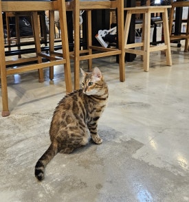 놀숲충주 이미지