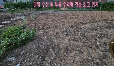 건물주 수산 이미지
