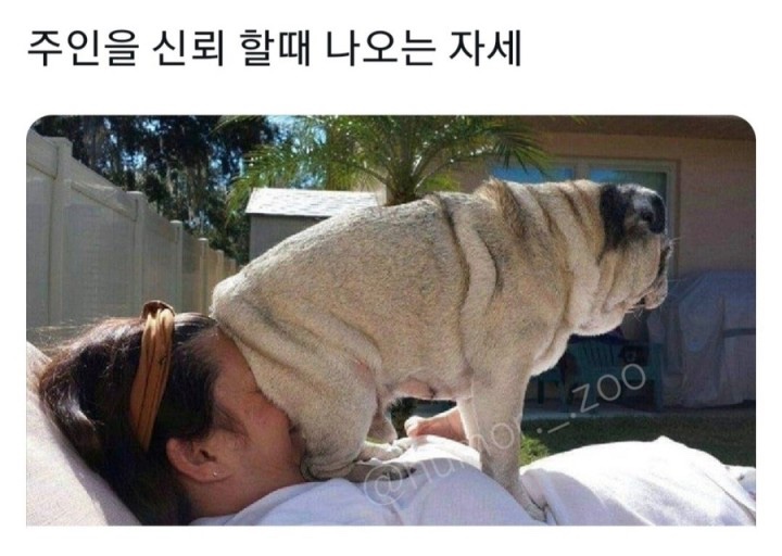 올가드림뷰티 이미지