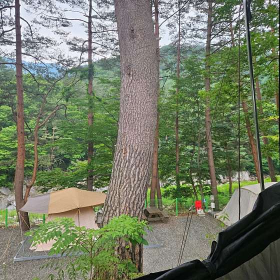 법수치오토캠핑장 이미지