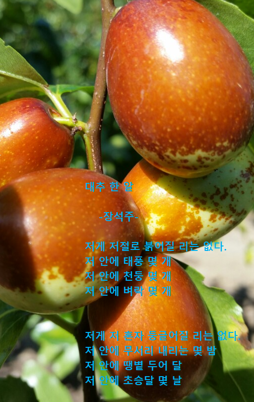 삼성현대세탁 이미지