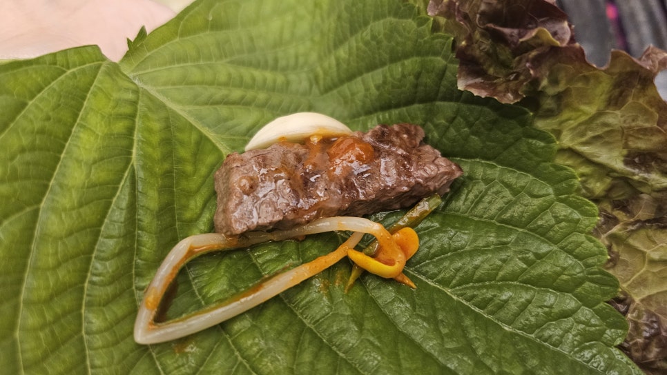하누팜 이미지