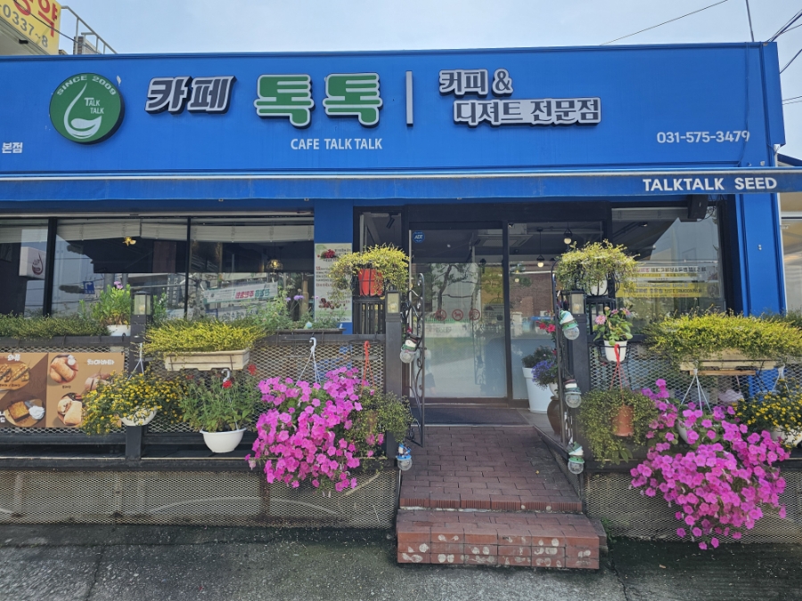 톡톡씨드 이미지