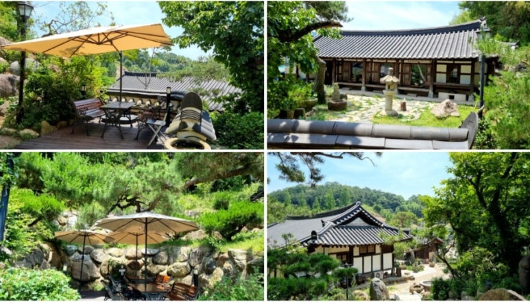 보성춘 이미지