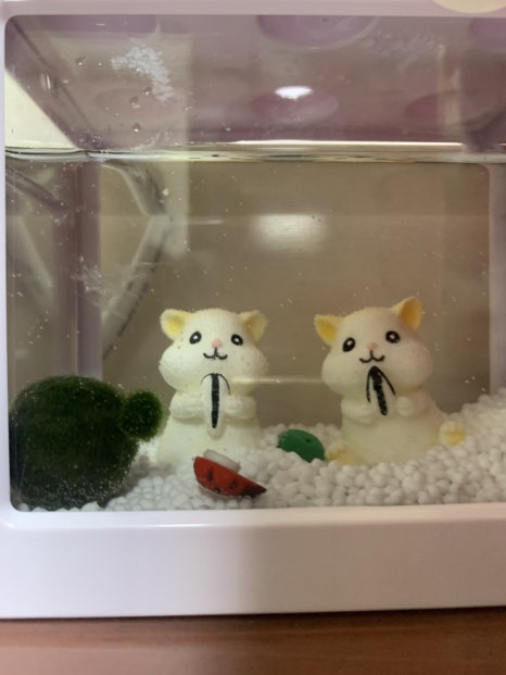 은파미용실 이미지