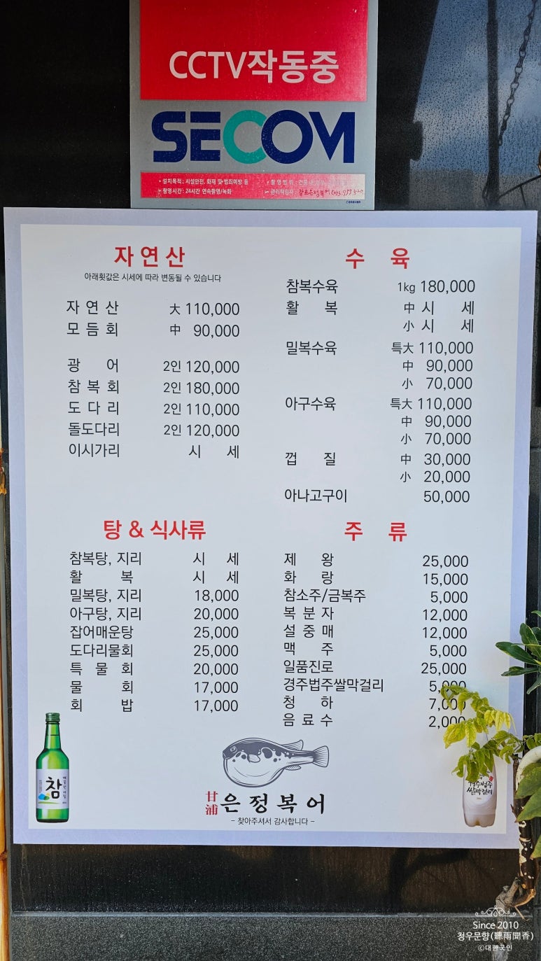 감포은정복어 이미지