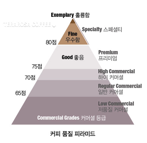 커먼커피 이미지