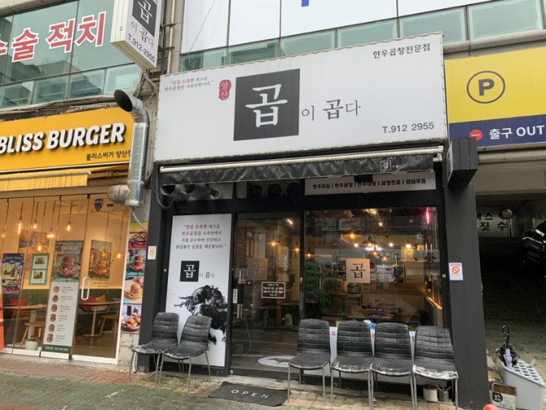 곱이곱다 이미지