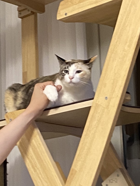만재호 이미지