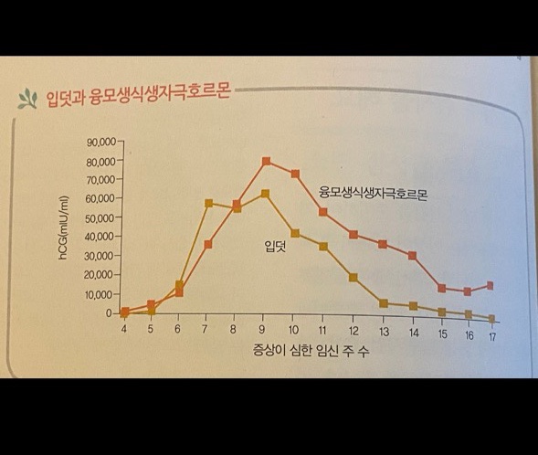 한담주차 이미지