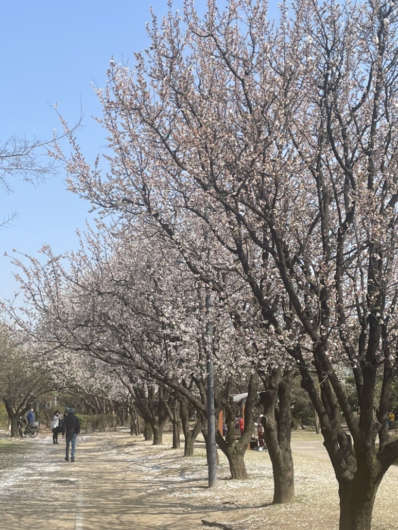 플러팅테라피 이미지