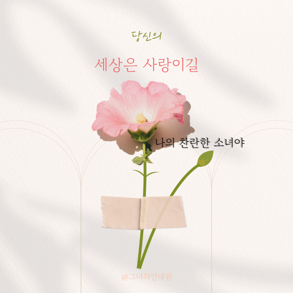 찬란한 세상 이미지