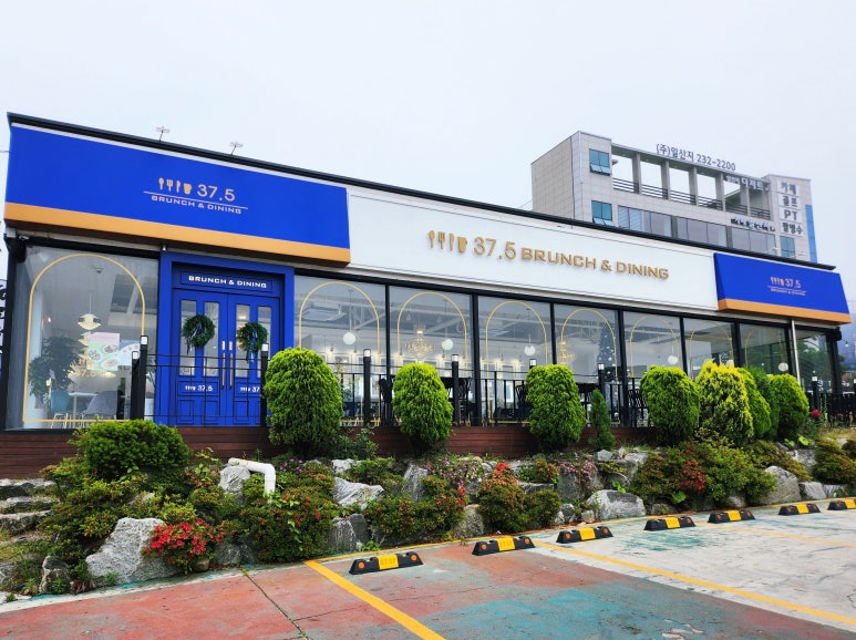 37.5일산 이미지