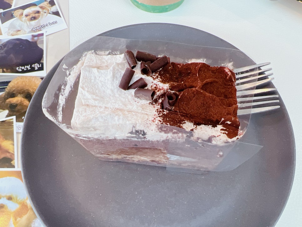 김포 애견카페 카페몽몽, 실내외 공간과 반려견 놀이터 — 사진 18