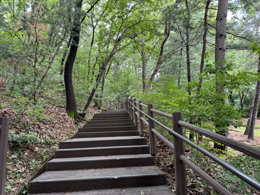 조성꽃순이 이미지