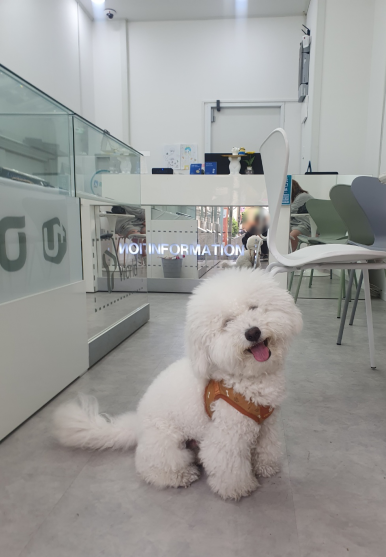 중고폰뱅크부산 이미지