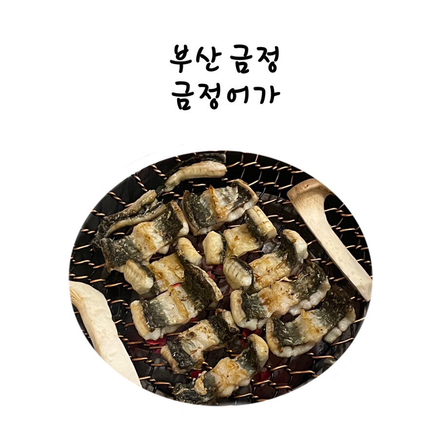 금정어가 이미지