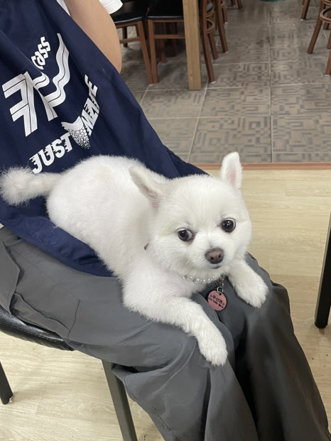 진 짜글이 마을 이미지