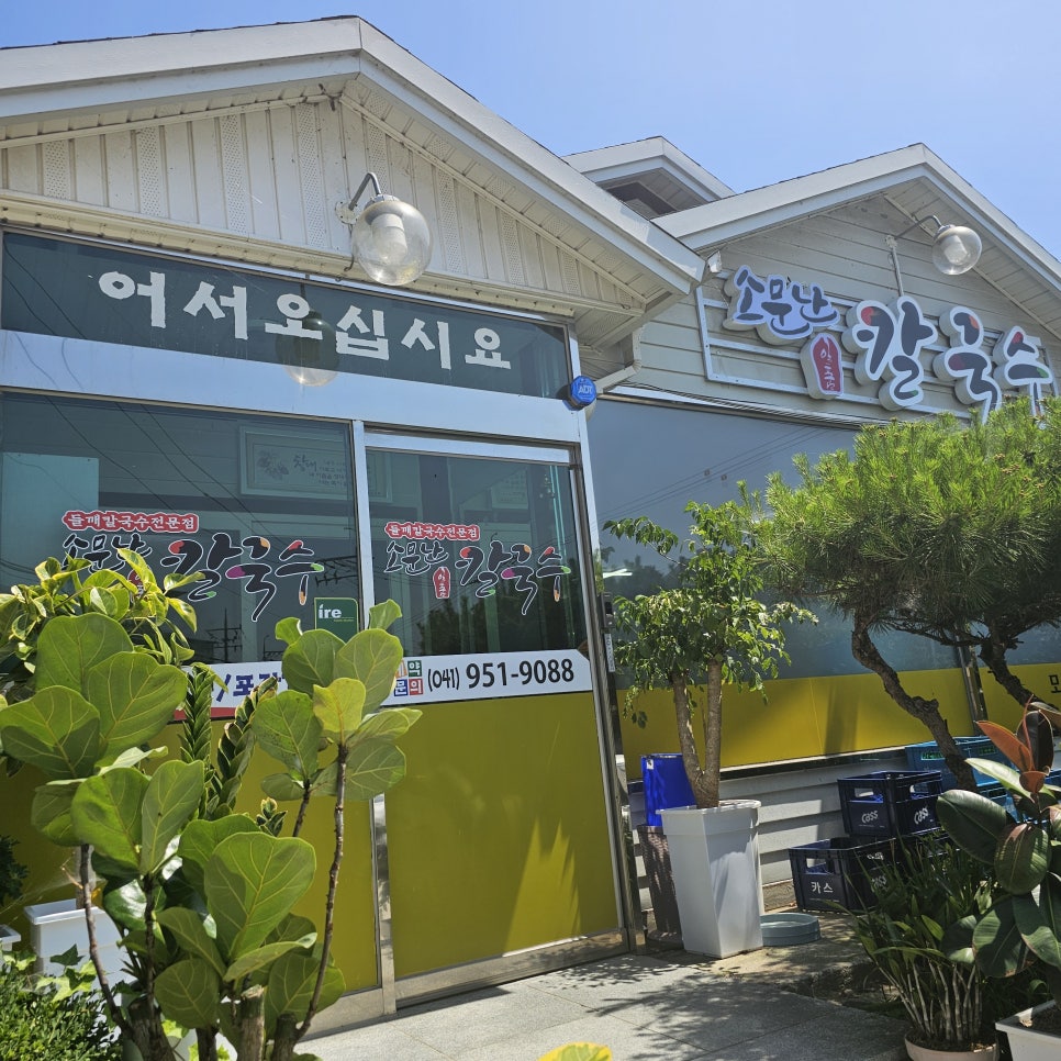 일품칼국수 이미지