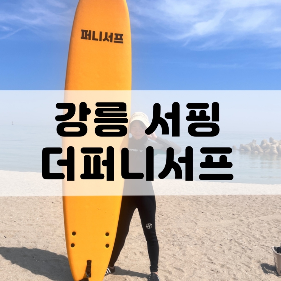 더퍼니서프 이미지