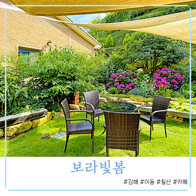 보라빛봄 이미지