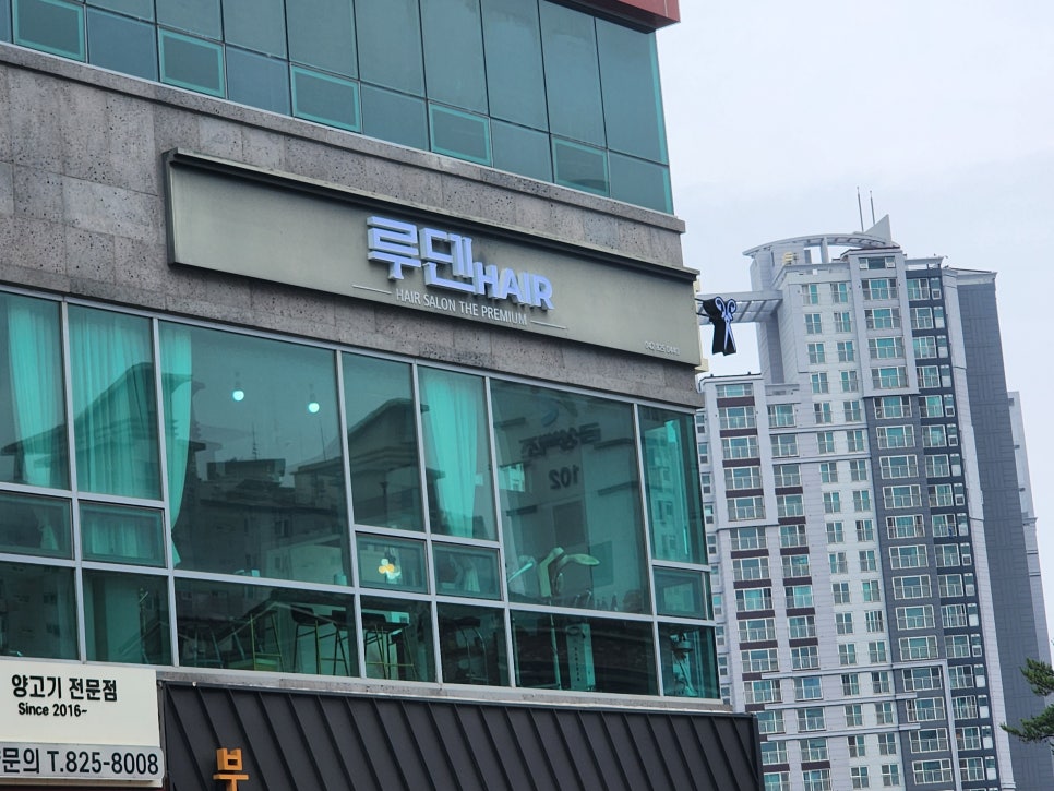 루덴헤어 이미지