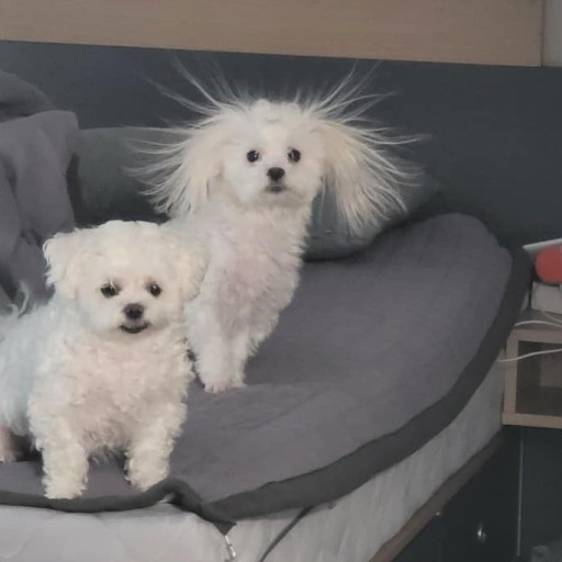 헤어뷰티 이미지